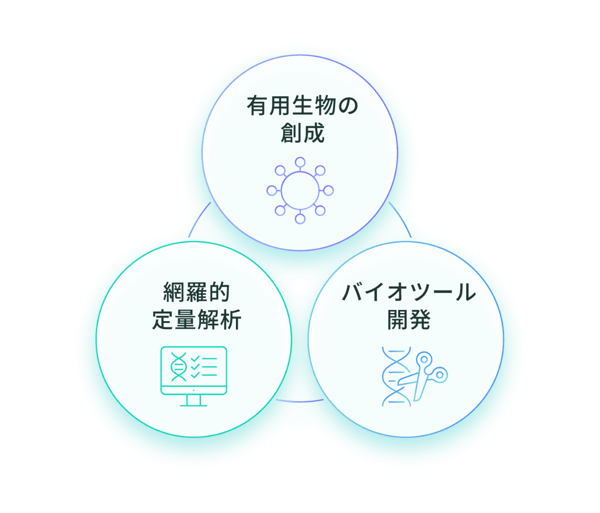 有用生物の創成 網羅的定量解析 バイオツール開発